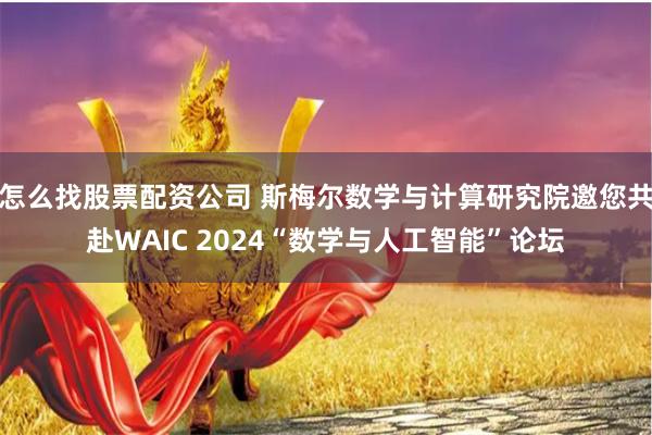 怎么找股票配资公司 斯梅尔数学与计算研究院邀您共赴WAIC 2024“数学与人工智能”论坛