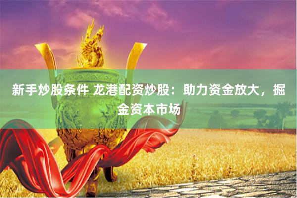 新手炒股条件 龙港配资炒股：助力资金放大，掘金资本市场