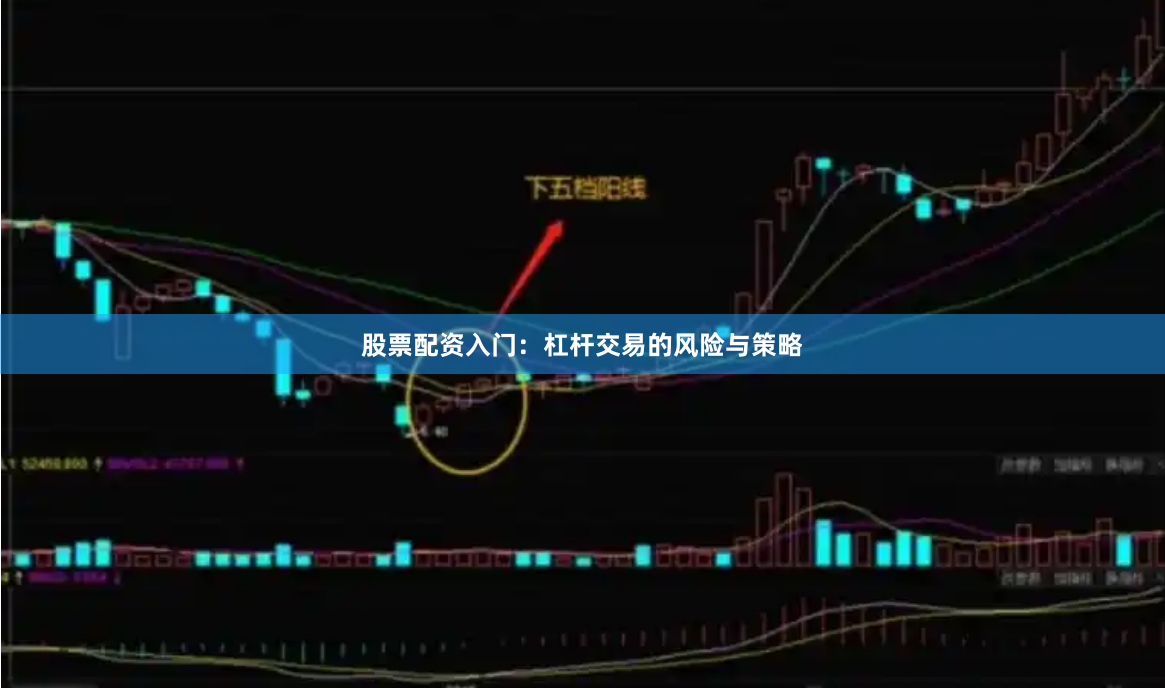 股票配资入门：杠杆交易的风险与策略